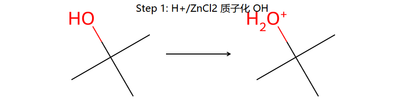 Lucas step 1: ZnCl2 质子化 OH