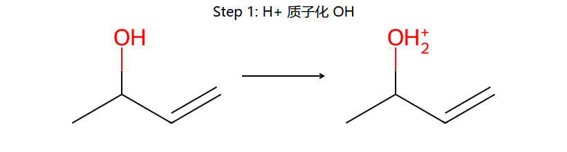 SN1' step 1: 质子化