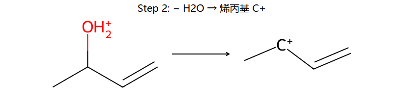 SN1' step 2: −H2O 给烯丙基 C+