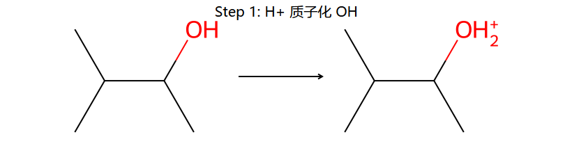 WM step 1: 质子化