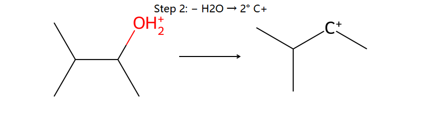 WM step 2: −H2O → 2° C+