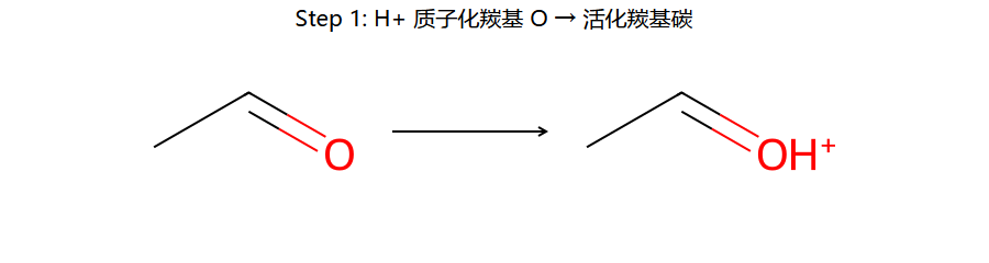 acetal step 1: 质子化羰基