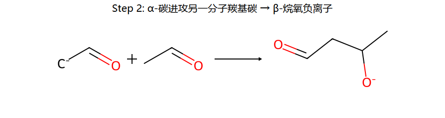 aldol step 2: α-碳进攻另一分子羰基