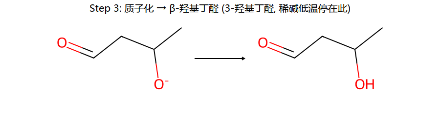 aldol step 3: 质子化 → β-羟基醛
