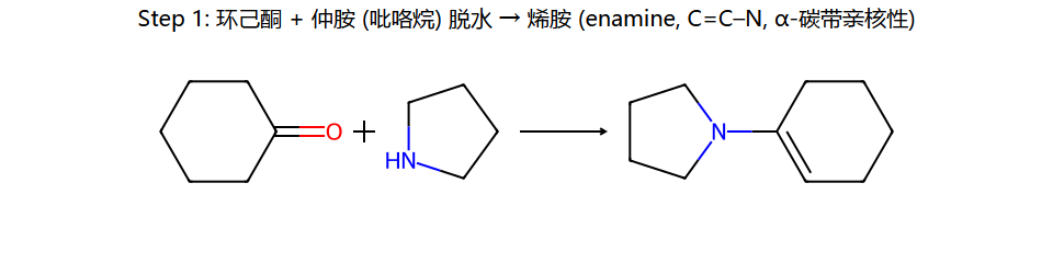 enamine step 1: 酮 + 仲胺 → 烯胺