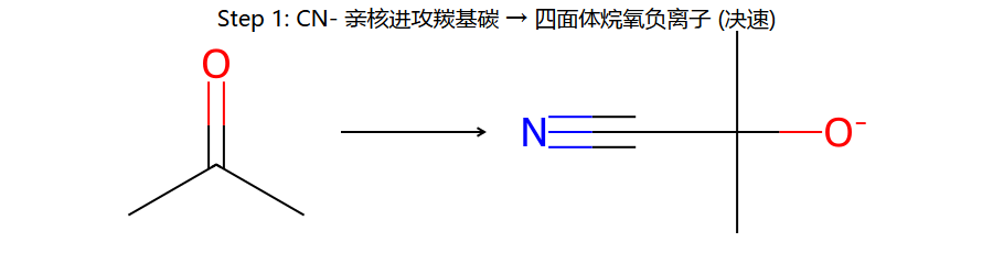HCN step 1: CN- 进攻