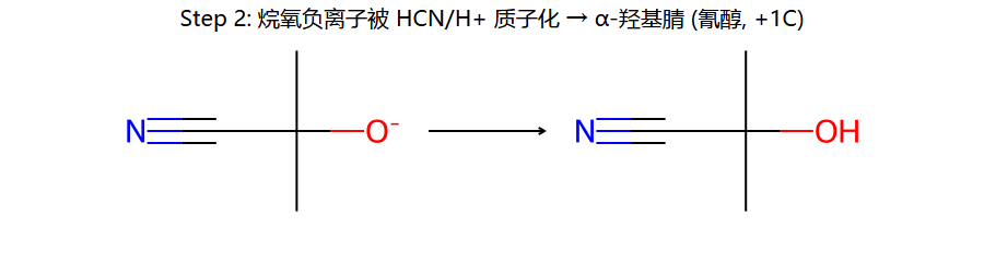 HCN step 2: 质子化