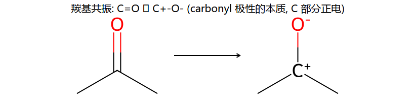 羰基共振 C=O ↔ C+-O-
