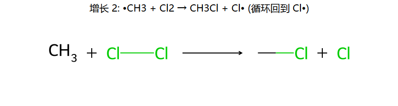 增长 2: CH3• + Cl2 → CH3Cl + Cl•
