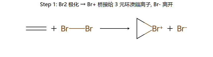 Step 1: Br+ 桥接成 3 元环