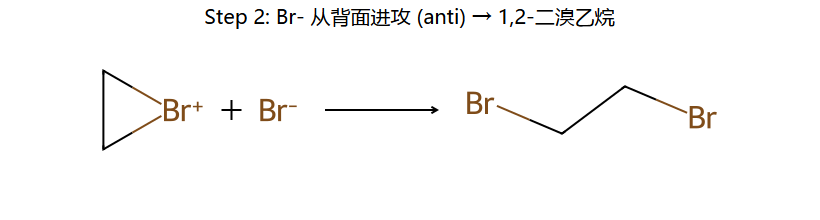 Step 2: Br- 背面进攻 → 反式