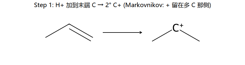 Step 1: H+ → 2° C+