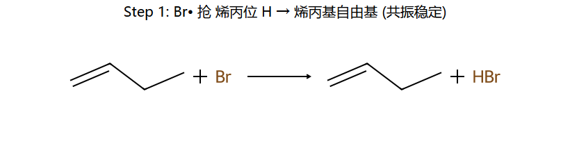 Step 1: Br• 抢烯丙位 H
