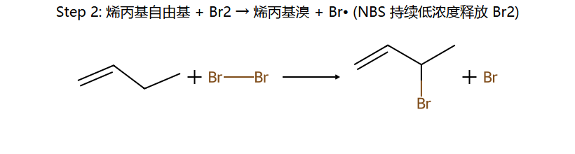 Step 2: 烯丙基自由基 + Br2 → 产物