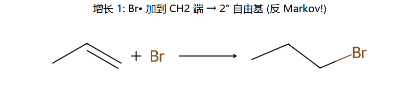 增长 1: Br• + 烯烃 → 2° 自由基
