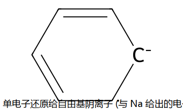 Birch 自由基阴离子中间体